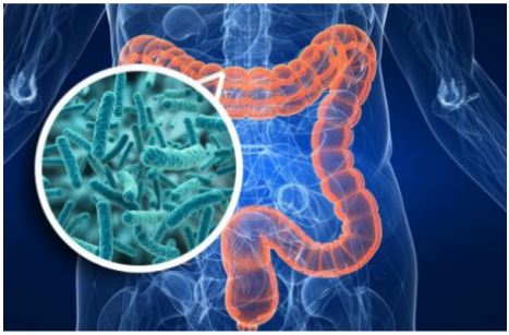 microbiotica